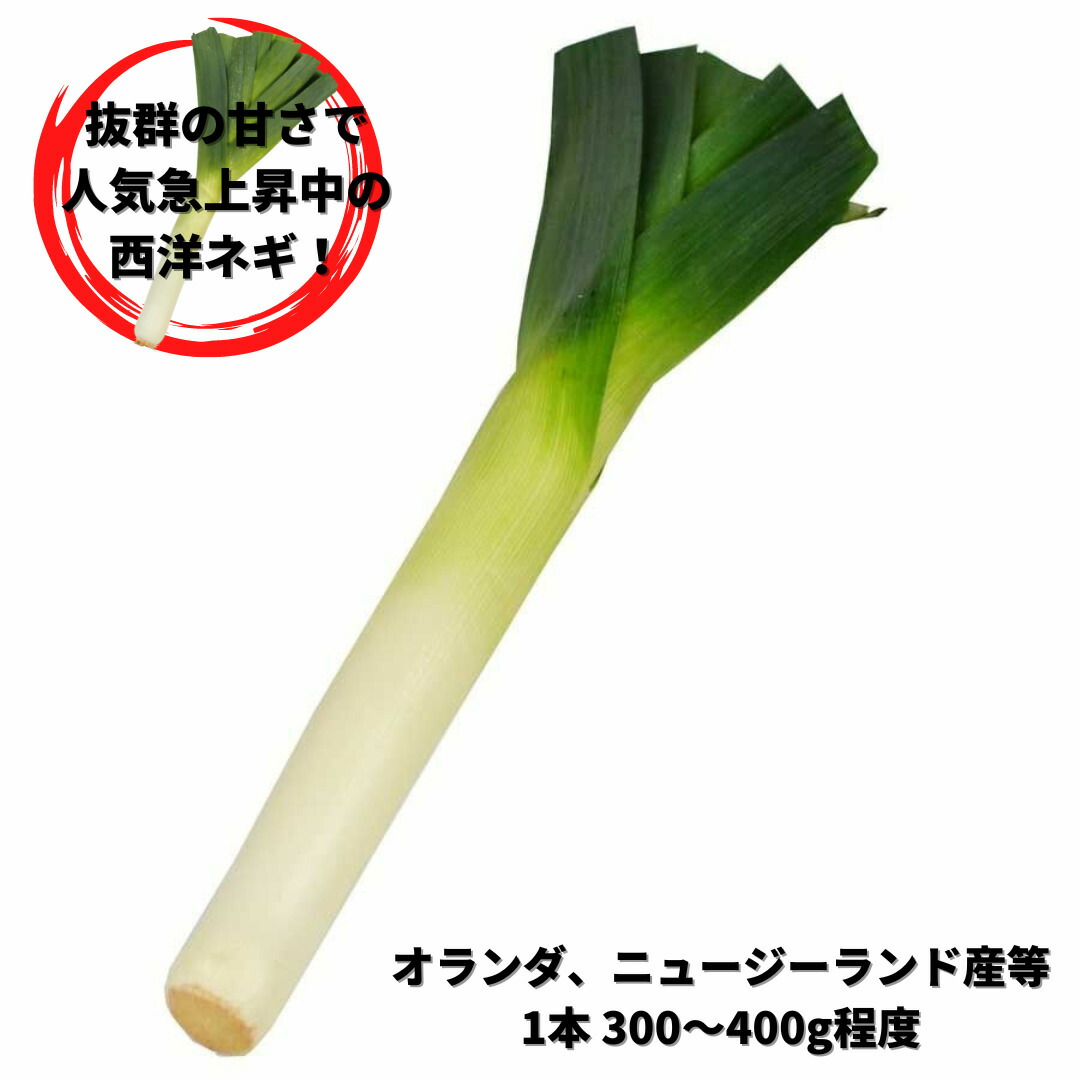 リーキ　ポワローネギ　ポロネギ　西洋ネギ　10キロ 楽天市場】ポロネギ ポワロー（リーキ）たけなかファーム 国産