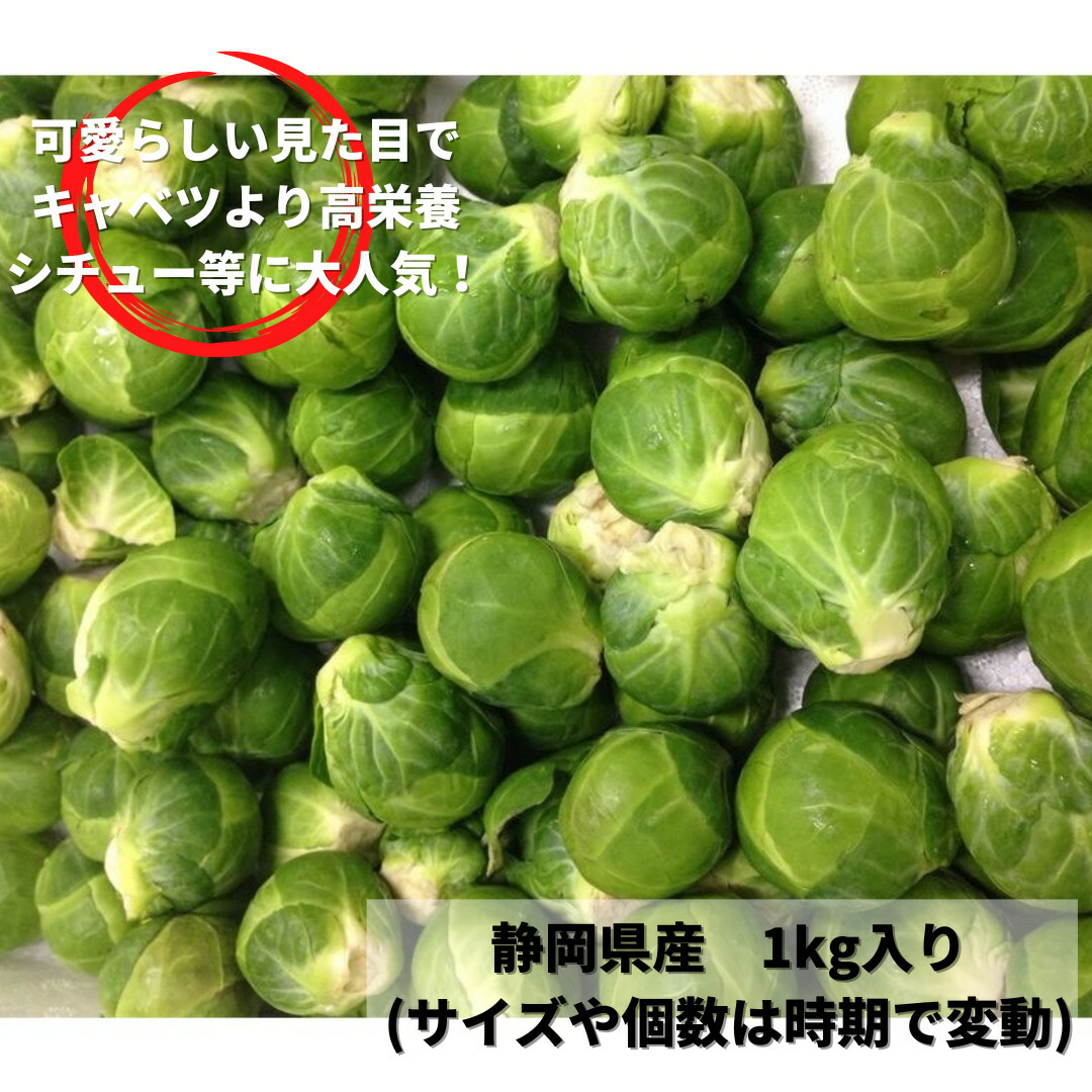 トミ　芽キャベツ　5kg ユニフーズ 芽キャベツ 500g ( 約1.5~2.5cm / きゃべつ / バラ凍結