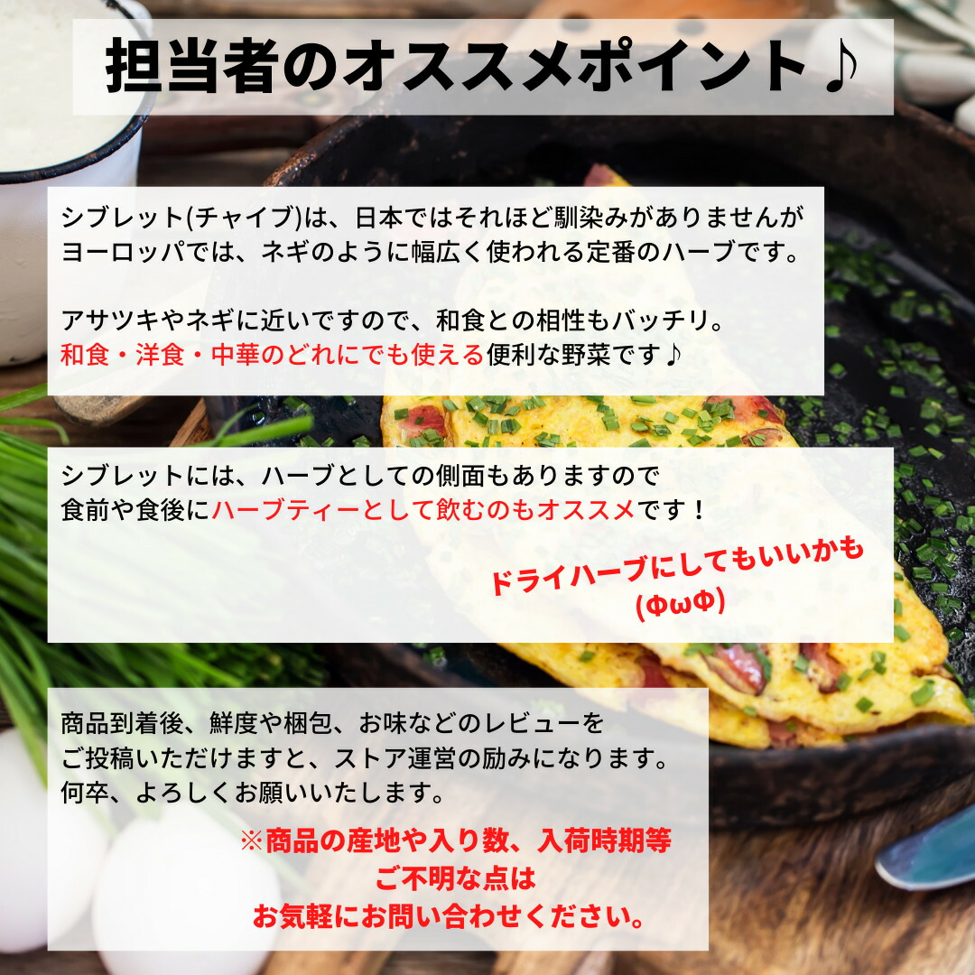 新作入荷 シブレット チャイブ Entracte Lu