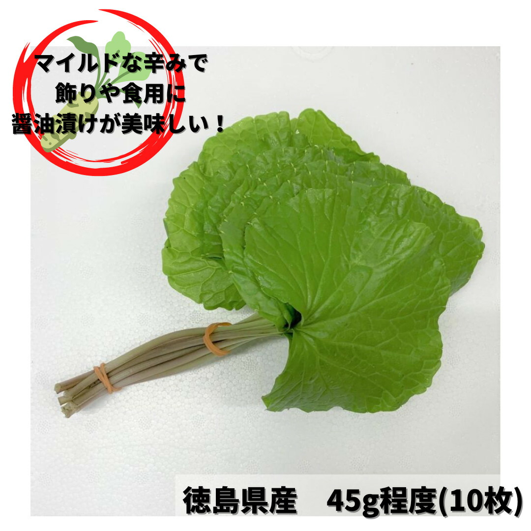 楽天市場】葉わさび (S) 1p=15枚入り (葉の直径15-20mm位/枚) 埼玉