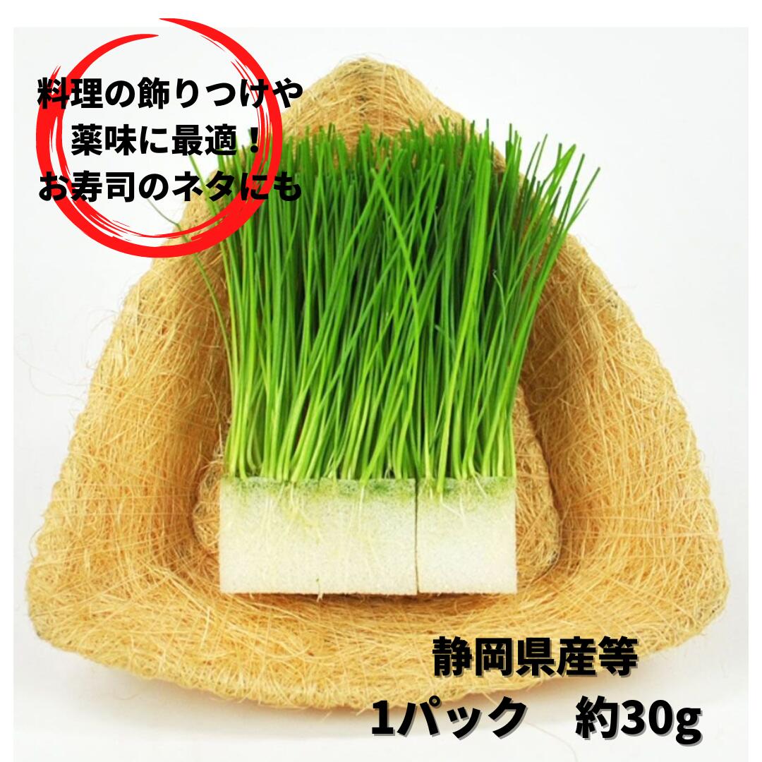 め葱 30ｇ程度 PC売り 静岡 国産 めねぎ 芽葱 あしらい かいしき 飾り 薬味 刺身 寿司 和食 洋食 業務用 人気ショップが最安値挑戦