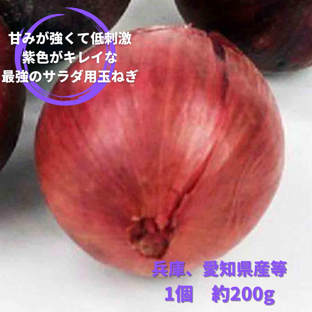 アーリーレッド 紫たまねぎ 赤たまねぎ 紫玉葱 赤玉葱 単品 100 本物