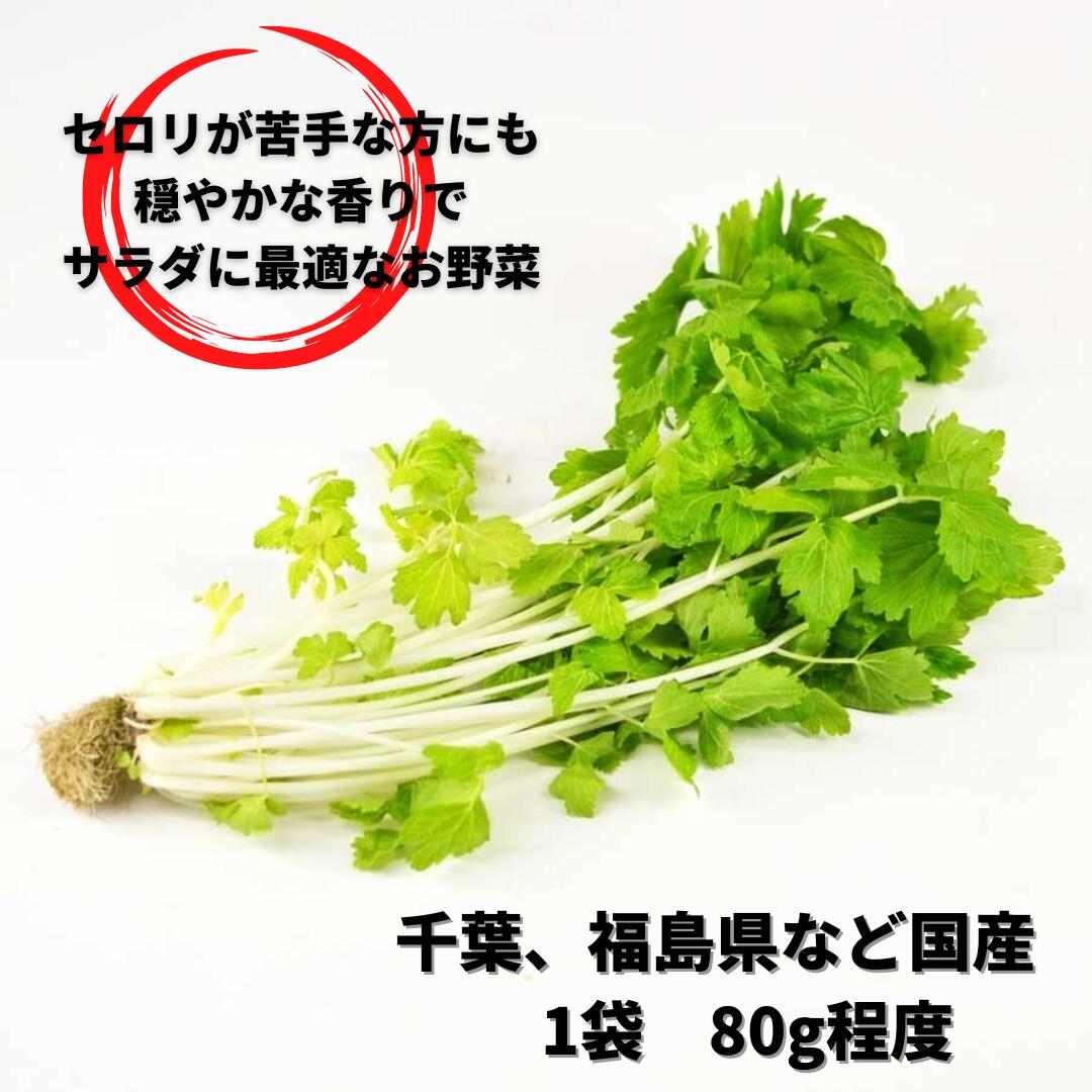 水菜屋 みず菜 極城南（2DL） | イシハラ・シード 野菜種子通販サイト