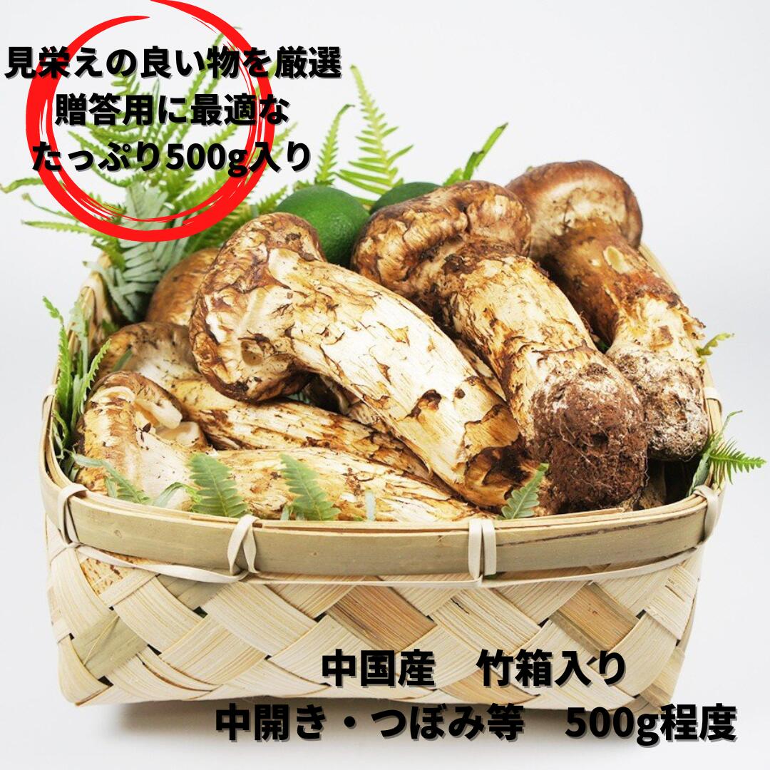 10.8 松茸　贈答用　大ツボミ　231g Amazon | 生松茸 つぼみ 約1kg ＜中M〜SLサイズ 28〜38本 7cm