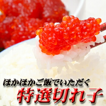 塩筋子２ｋ ロビン 楽天市場】送料無料 ウロコボシ 紅鮭筋子 旨塩味 バラ子 2kg【凍