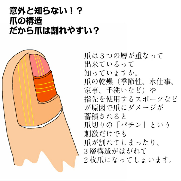 楽天市場 送料無料 吉田ヤスリ 爪やすり ヤスリ製造1年伝統の技 日本 製 新潟県 燕三条 職人 手作業で製造 ステンレス 製で 衛生的 使いやすい 削りやすい 職人 おすすめ ギフト プレゼント に ネイル ネイルケア 爪ヤスリ Yoshida Yasuri