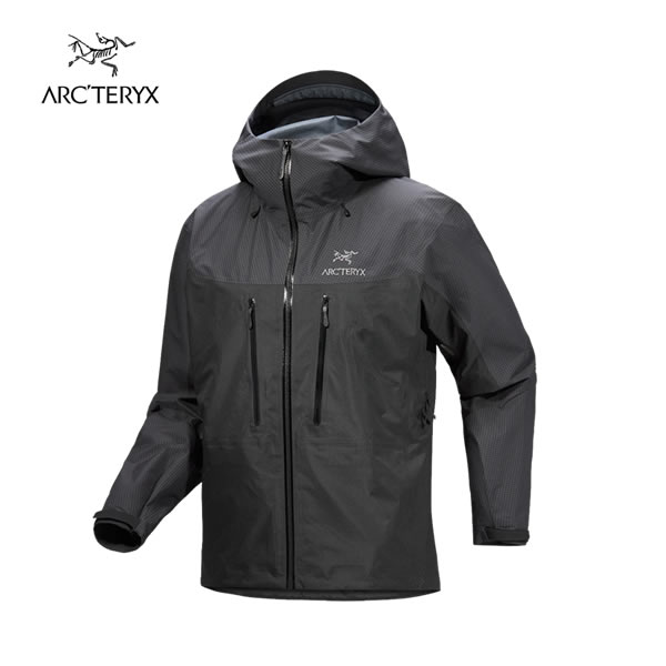 ARC'TERYX Alpha AR グレー マウンテンパーカー ARC'TERYX（アークテリクス）マウンテンパーカー グレー サイズ:L