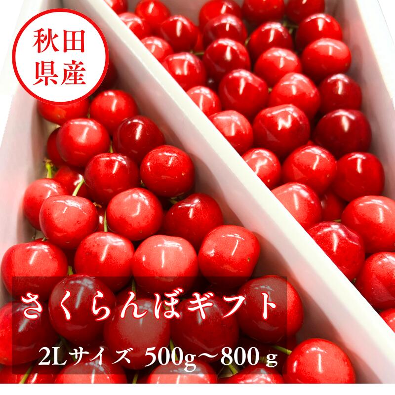 【５%引きクーポン発行中/5月25日まで】【【６月中旬より配送】さくらんぼ ギフト 佐藤錦 紅秀峰 2L 父の日 母の日 サクランボ 贈答 秋田 三関サクランボ 十文字 サクランボ  送料無料