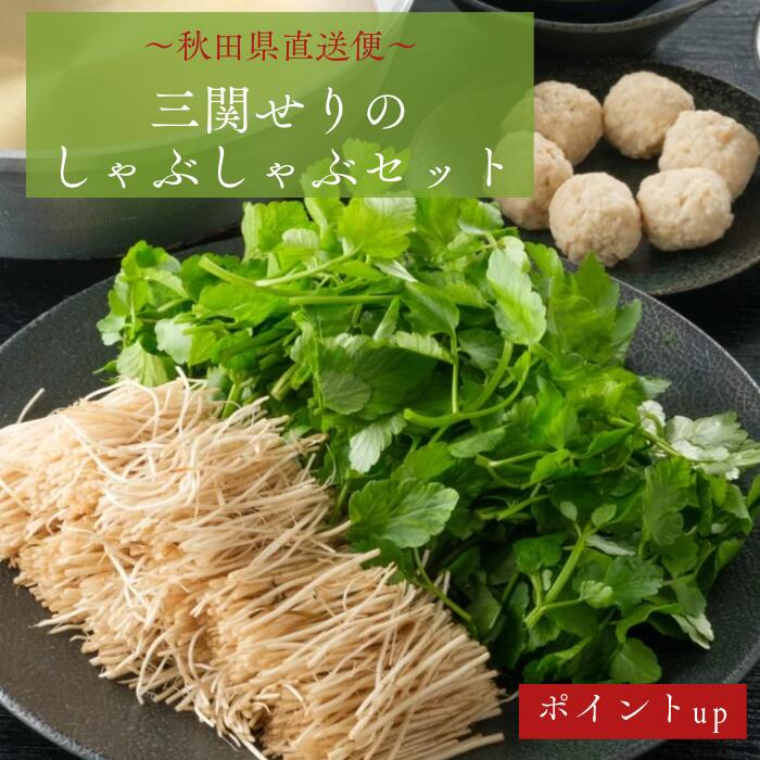 【ポイント５倍！】せり鍋 三関せり 朝採り 秋田 比内地鶏スープ付 せり鍋セット セリ鍋お取り寄せ 秋田 比内地鶏 レシピ スープ しゃぶしゃぶ 送料無料 秋田 葉しゃぶしゃぶ 野菜しゃぶしゃぶ ギフト ご自宅 家庭 プレゼント お取り寄せグルメ 鍋セット　芹