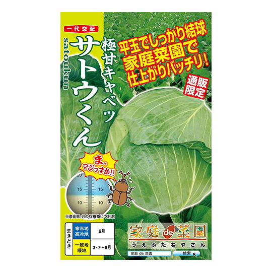 極甘球菜 サトウくん 【身寄り家庭菜園 直売所針路】【生存期間掛け合わせ】【手ぬるい球菜 内果皮】【プランター作りだす】【作りやすくおいしい】