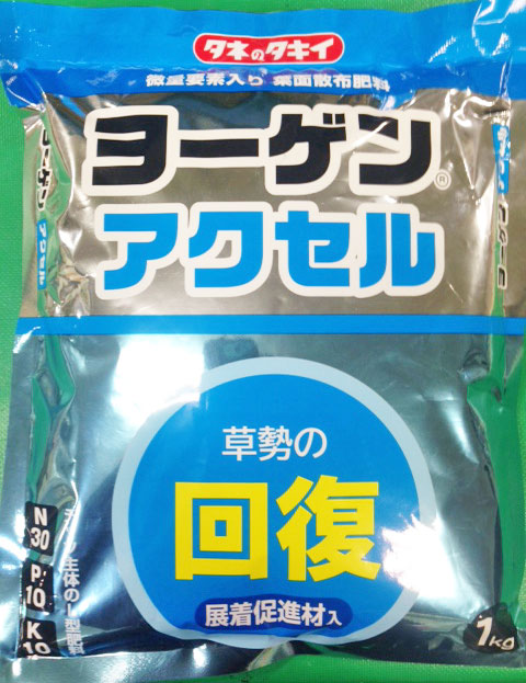 サイズ交換ＯＫ】 種子 信州大そば 1Kg 穀類