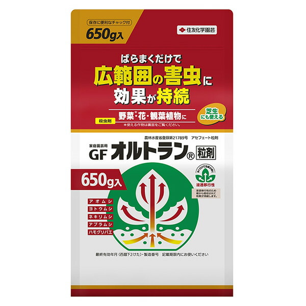 楽天市場】【予約商品 10月～11月発送開始】玉ねぎ苗 ソニック 早生