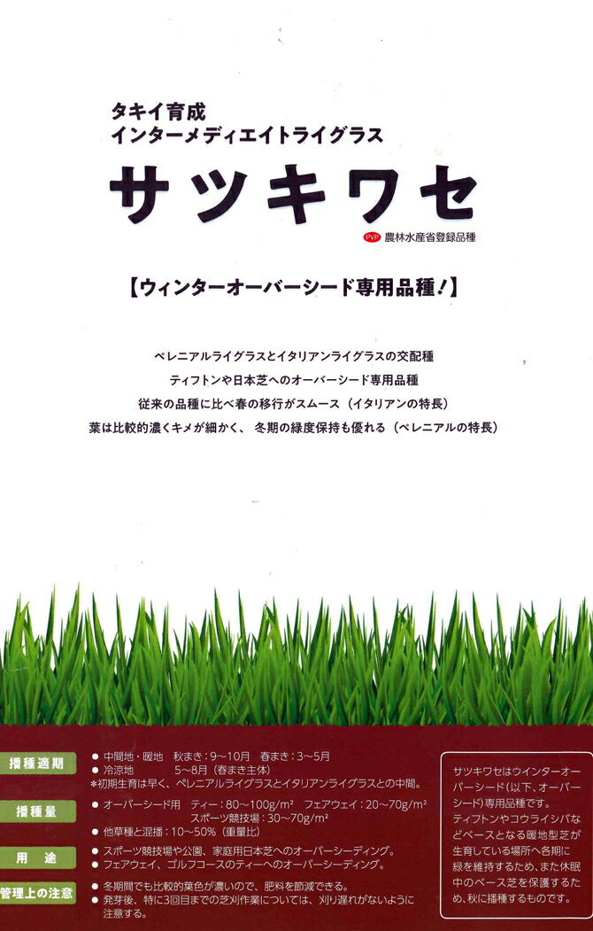 528円 2021高い素材 冬芝 サツキワセ 1ｋｇ 芝生ウインターオーバーシード専用種子 農水省登録品種 品種名