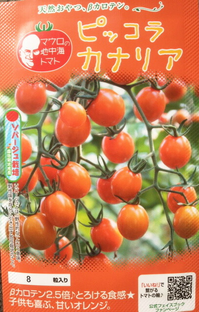 楽天市場】千果 ミニトマト 1000粒 【トマト種】【タキイのタネ】【野菜の種】【機能性野菜】【高リコピン】【ファイトリッチシリーズ】 : 吉谷農芸  楽天市場店