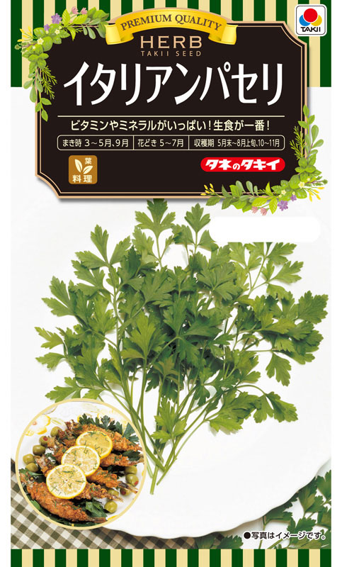 楽天市場】【2025年 予約商品】シルクスイート 10本 サツマイモ