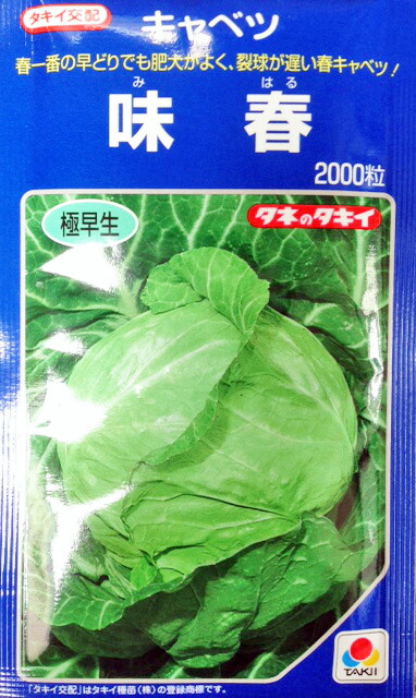 ブロッコリー種子 SK9-099 5000 + 500粒 楽天市場】 SK9-099 ブロッコリー種子 【野菜種子】【サカタ交配