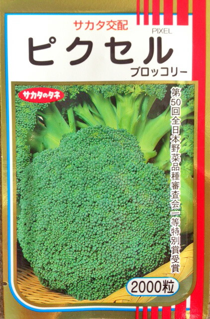 ブロッコリーの種 ハイツSP フィルムコート種子2千粒 ( 野菜の種