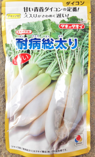 貨物輸送無料 大根役者もと子 耐病総太り 2 架束 タキイ種苗 大根の種 草片種子 Barlo Com Br