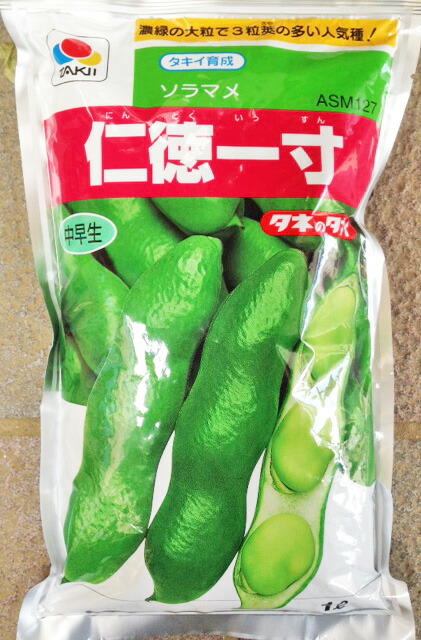 善良さ一寸 ソラマメ内果皮 1Ｌ 農水省書きとどめる亜種(亜種名 善良さ割りかし)  【タキイ種苗】【草片内果皮】