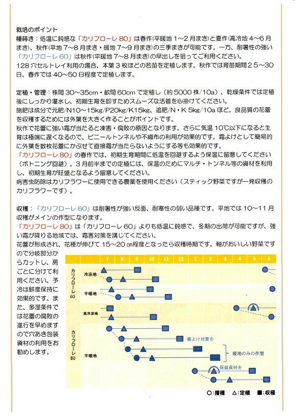 【タキイのタネ】【作りやすい】極早生初秋キャベツ2ml