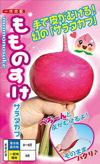 ふくむらさき苗800本tshuhama imgrc0248474504.jpg