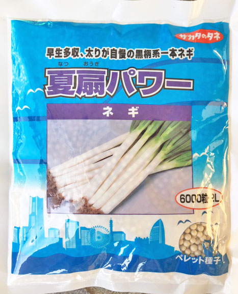 ネギ苗1,000本(タネはサカタの夏扇パワー、太さ約3mm) imgrc0092631743.jpg