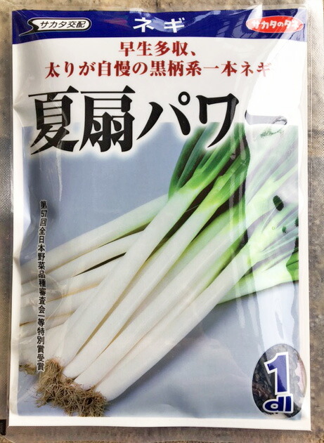 楽天市場】 大河の轟き ネギ種子 【野菜種子】【ダイア交配】 : 吉谷