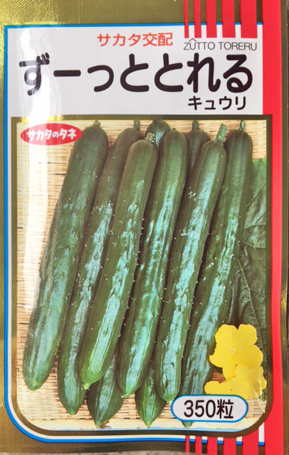 コート種子 ブロッコリー SK9-099 5000 + 500粒 サカタのタネ SK9-099 ブロッコリー種子 ペレット5000粒 【野菜種子】【サカタ