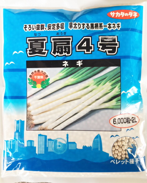 ブロッコリー種子 SK9-099 5000 + 500粒 SK9-099 ブロッコリー種子 ペレット5000粒 【野菜種子】【サカタ