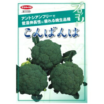 楽天市場】 SK9-099 ブロッコリー種子 【野菜種子】【サカタ交配