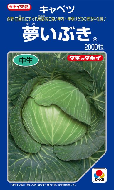 楽天市場】 SK9-099 ブロッコリー種子 【野菜種子】【サカタ交配