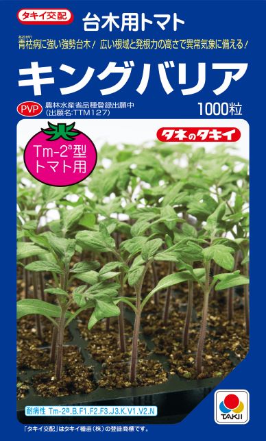 キングバリア トマト用台木 種子 1000粒 農水省登録品種(品種名 TTM127)