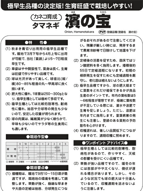 大きい割引 濱の宝 玉ねぎ種子 20ｍｌ 極早生種 カネコ種苗農林水産省登録品種 品種名 浜の宝 海外持出禁止 公示 農林水産省HP参照  www.quintenvanhilten.nl