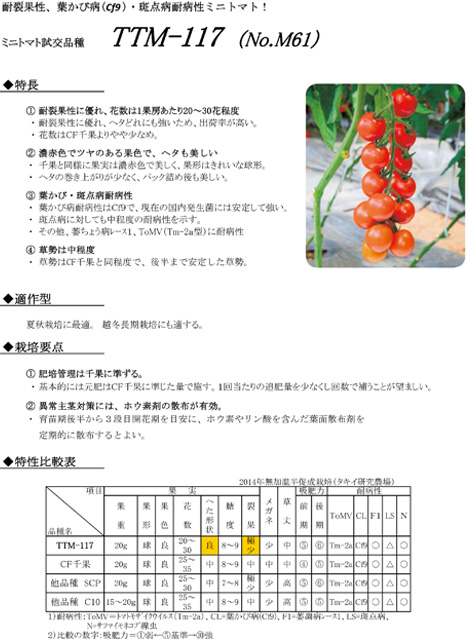 高質 サマー千果 1000粒 ミニトマト種子 fucoa.cl