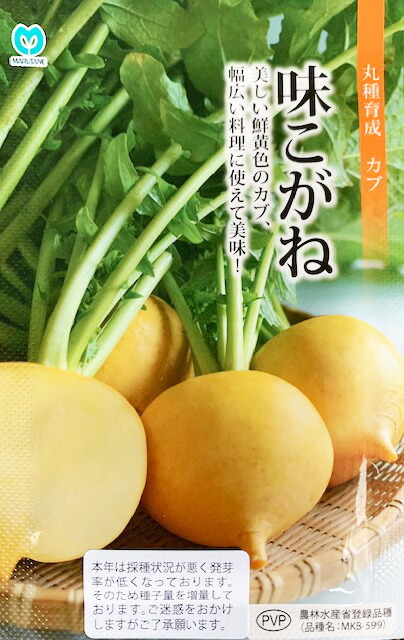 シルクスイート苗1000本 imgrc0176190236.jpg