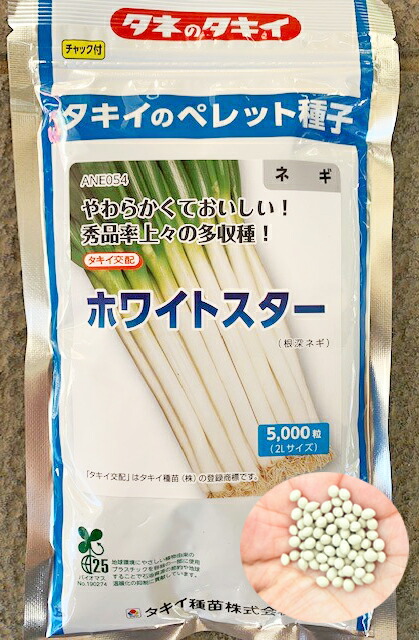 ネギ 大河の轟き 5000粒 有効期限バラバラ ネギ 大河の轟き 5000粒