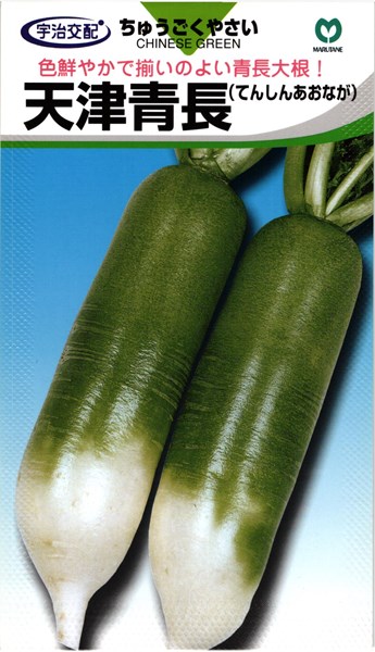天津青長 【丸種育みそだてる】【宇治掛け合わせ】【草片内果皮】【大根役者内果皮】【中国草片】