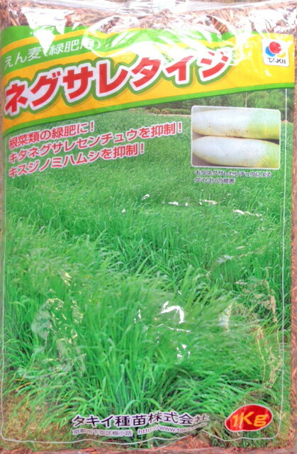 楽天市場】【緑肥 景観用種子】クリムゾンクローバー ディクシー 1袋（500ｇ）【緑肥】 : 吉谷農芸 楽天市場店