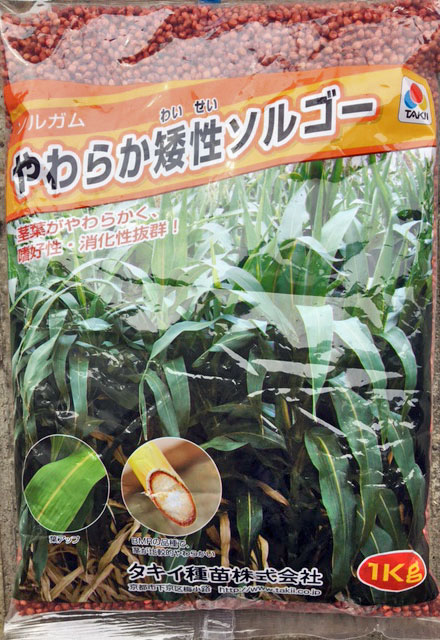 楽天市場】【緑肥 景観用種子】クリムゾンクローバー ディクシー 1袋（500ｇ）【緑肥】 : 吉谷農芸 楽天市場店