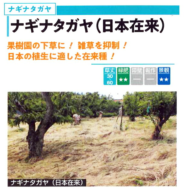 ナギナタガヤ　　種子　【緑肥種子】【草マルチ】【果樹園下草】｜吉谷農芸 店