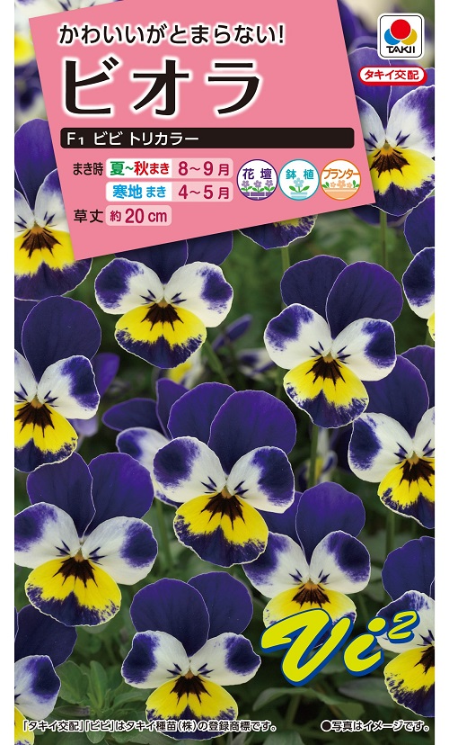 84円 レビュー高評価のおせち贈り物 花の種 ビオラ ｆ１ビビ ピンクアンティーク