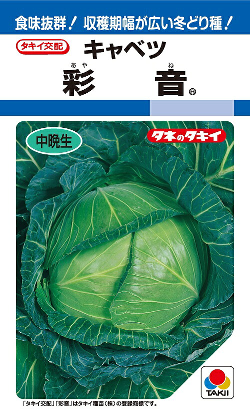 球菜内果皮 彩音   【草片内果皮】【球菜 アヤネ】【タキイ種苗】【彩音 ﾍﾟﾚｯﾄ5000粒】【彩音 2000粒】