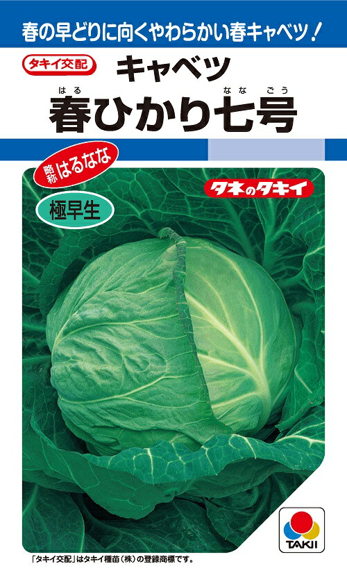 楽天市場】【予約商品 10月～11月発送開始】玉ねぎ苗 ソニック 早生