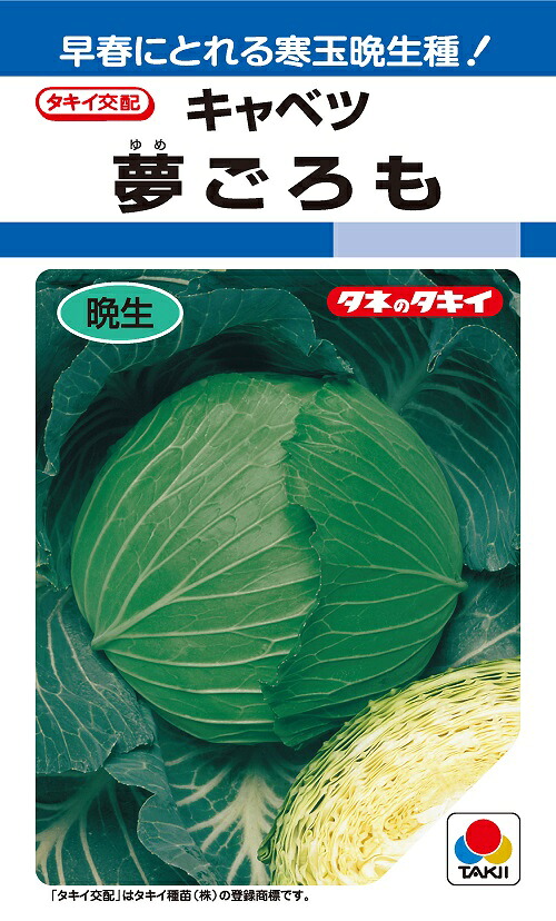 夢ごろも 球菜内果皮  晩生種 早春どり 寒玉系【草片内果皮】【タキイ種苗】