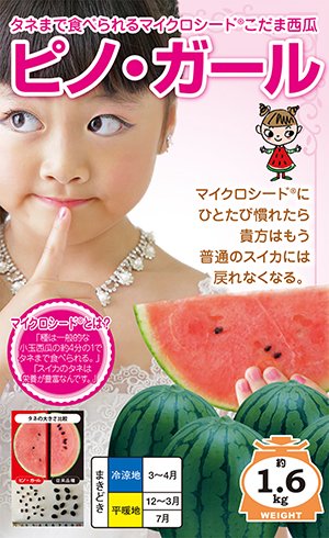 ドラゴンボール - スイカ種さん専用 楽天市場】ブラックボール2 9粒 スイカ種子【西瓜種】【タキイの
