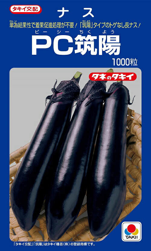 パソコン筑陽 1000粒 なす内果皮 【茄子種】【タキイのタネ】【蔬菜の種】