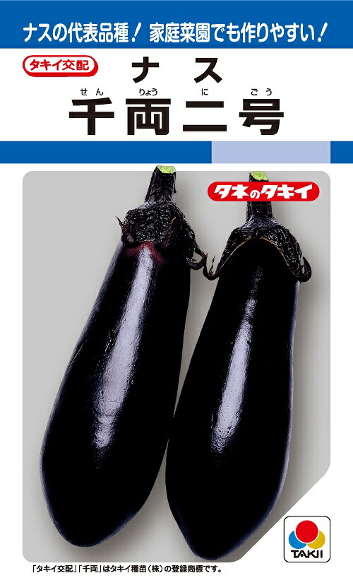 楽天市場】 大地の響き ネギ種子 ペレット5千粒 【野菜種子】【トキタ