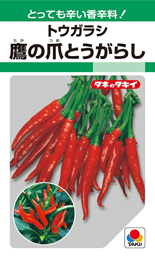 ししとう 135粒 驚きの値段