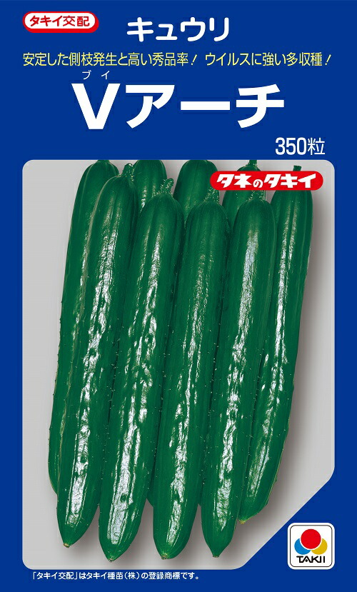 Vアーチ形 350粒 きゅうり種【黄瓜の種】【タキイのタネ】【草片の種】