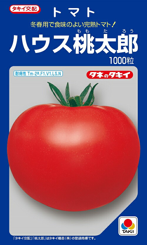 棲み家桃太郎 大玉赤ナス内果皮 1000粒 【赤ナス種】【タキイのタネ】【草片の種】